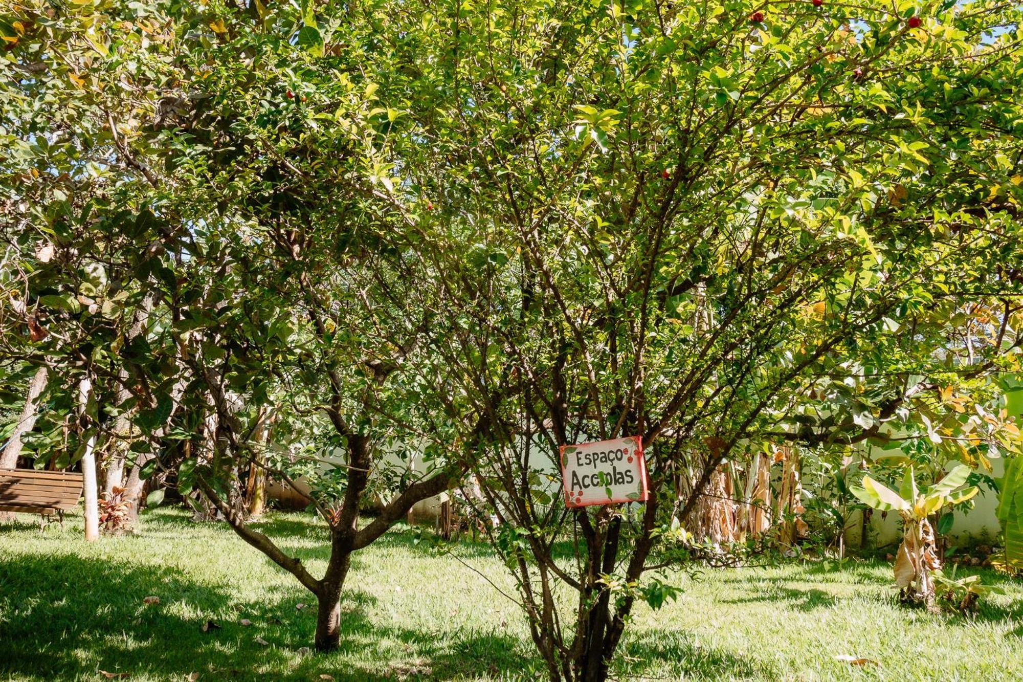 Pousada Adega Cipo Serra do Cipo National Park Kültér fotó